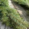 Garland - Fresh Douglas Fir - Image 2
